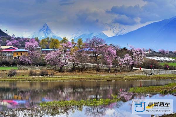 波密5桃花溝風景區.jpg