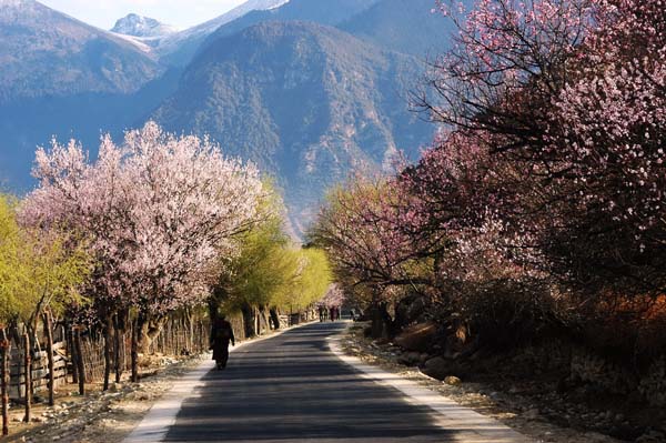 波密·桃花溝風景區.jpg