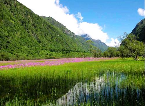 獻(xiàn)給媽媽的愛(ài) 帶上媽媽一起去旅行