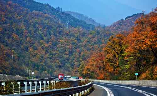 秋游正當時！成都租車旅游選哪一條？